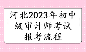 河北2023年初中級審計師考試報考流程