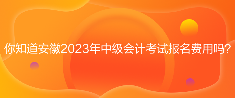 你知道安徽2023年中級(jí)會(huì)計(jì)考試報(bào)名費(fèi)用嗎？