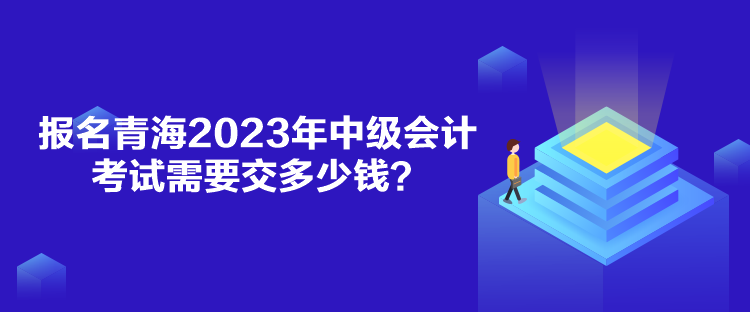 報(bào)名青海2023年中級(jí)會(huì)計(jì)考試需要交多少錢？