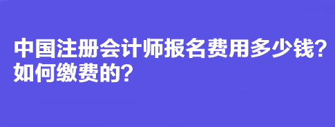 中國注冊會計師報名費用多少錢？如何繳費的？