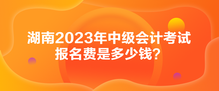 湖南2023年中級(jí)會(huì)計(jì)考試報(bào)名費(fèi)是多少錢？