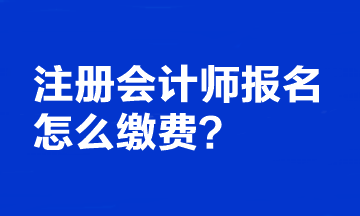 注冊會計師報名怎么繳費？