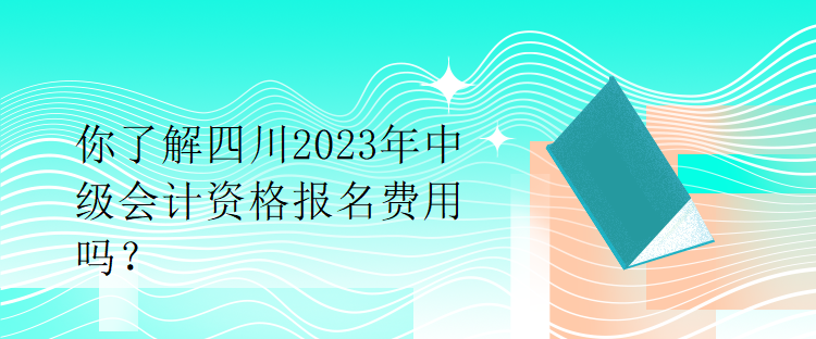 你了解四川2023年中級(jí)會(huì)計(jì)資格報(bào)名費(fèi)用嗎？