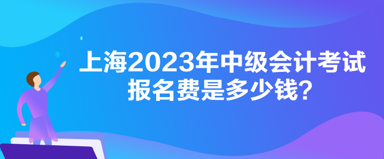 上海2023年中級(jí)會(huì)計(jì)考試報(bào)名費(fèi)是多少錢？