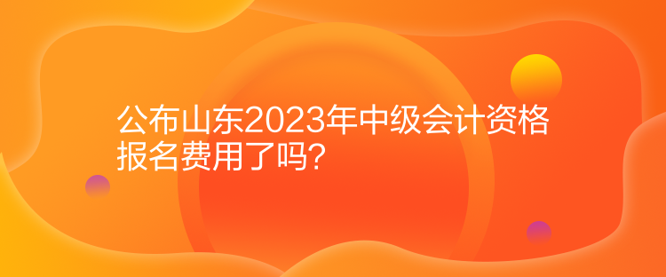 公布山東2023年中級會計資格報名費用了嗎？