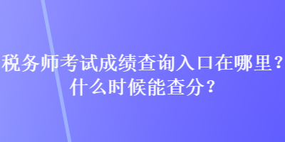 稅務師考試成績查詢?nèi)肟谠谀睦?？什么時候能查分？