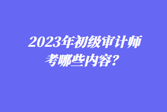 2023年初級審計(jì)師考哪些內(nèi)容？