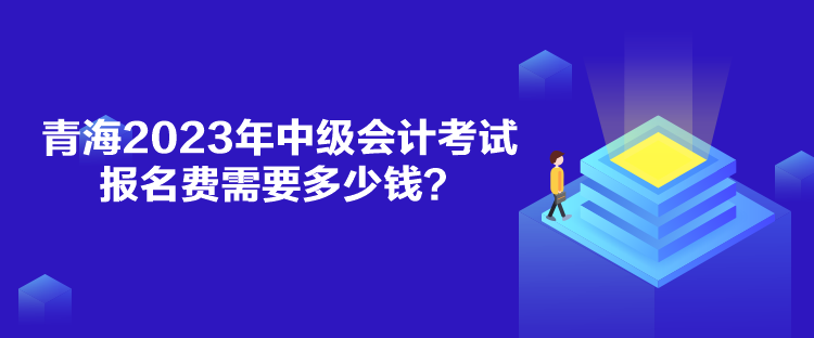 青海2023年中級(jí)會(huì)計(jì)考試報(bào)名費(fèi)需要多少錢？