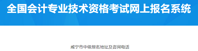 湖北咸寧2023年中級會計(jì)考試報(bào)名咨詢明細(xì)表