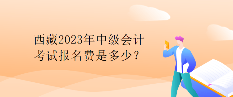 西藏2023年中級(jí)會(huì)計(jì)考試報(bào)名費(fèi)是多少？