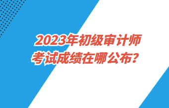 2023年初級審計師考試成績在哪公布？