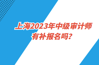 上海2023年中級審計(jì)師有補(bǔ)報(bào)名嗎？