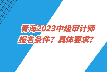 青海2023中級(jí)審計(jì)師報(bào)名條件？具體要求？