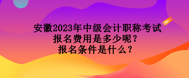 安徽2023年中級(jí)會(huì)計(jì)職稱考試報(bào)名費(fèi)用是多少呢？報(bào)名條件是什么？