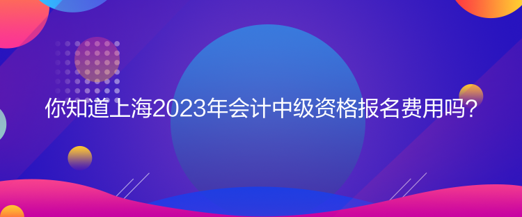 你知道上海2023年會計中級資格報名費用嗎？