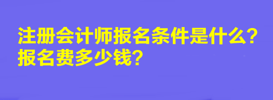 2023年注冊會計師報名條件是什么？報名費多少錢？