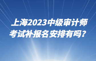 上海2023中級(jí)審計(jì)師考試補(bǔ)報(bào)名安排有嗎？