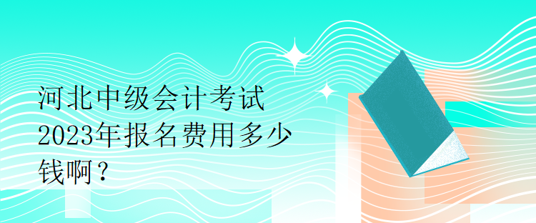 河北中級(jí)會(huì)計(jì)考試2023年報(bào)名費(fèi)用多少錢??？