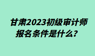 甘肅2023初級審計(jì)師報(bào)名條件是什么？