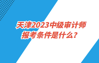 天津2023中級審計師報考條件是什么？