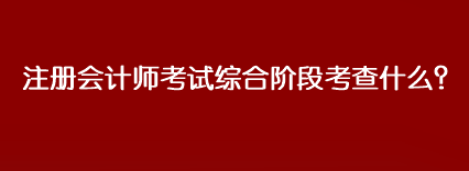 注冊(cè)會(huì)計(jì)師考試綜合階段考查什么？