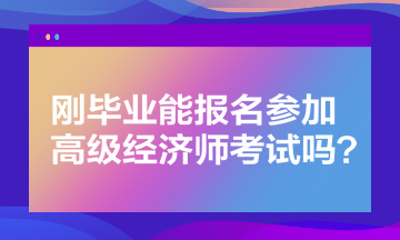 剛畢業(yè)能報(bào)名參加高級經(jīng)濟(jì)師考試嗎？