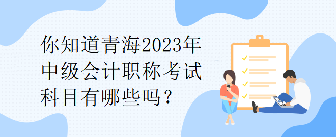 你知道青海2023年中級(jí)會(huì)計(jì)職稱考試科目有哪些嗎？