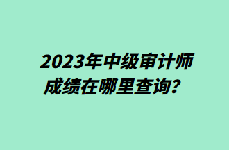 2023年中級(jí)審計(jì)師成績(jī)?cè)谀睦锊樵?xún)？