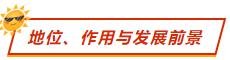 地位、作用與發(fā)展前景