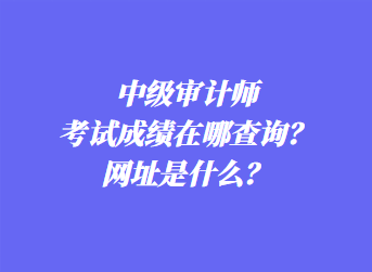 中級審計師考試成績在哪查詢？網(wǎng)址是什么？