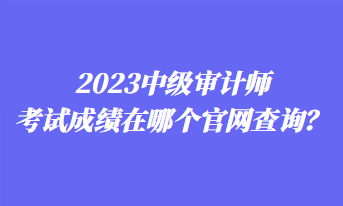 2023中級審計師考試成績在哪個官網(wǎng)查詢？