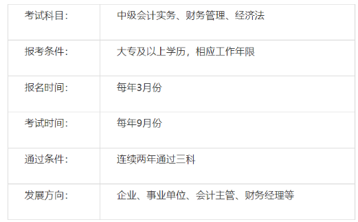 中級(jí)會(huì)計(jì)職稱考試