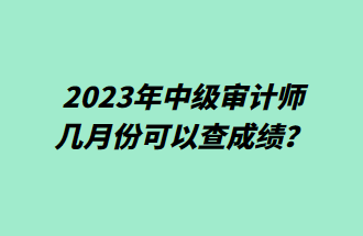 2023年中級(jí)審計(jì)師幾月份可以查成績(jī)？