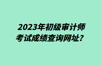 2023年初級(jí)審計(jì)師考試成績查詢網(wǎng)址？