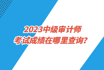 2023中級(jí)審計(jì)師考試成績(jī)?cè)谀睦锊樵?xún)？