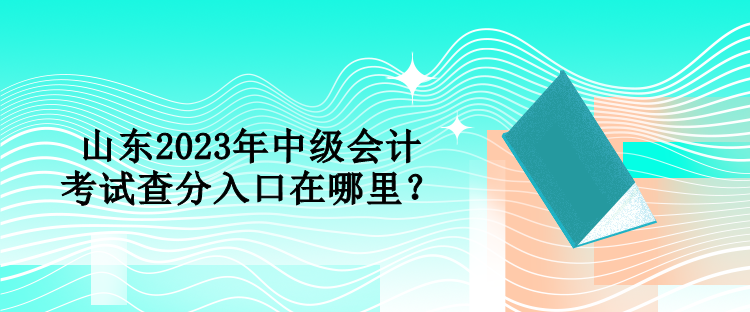 山東2023年中級會計考試查分入口在哪里？