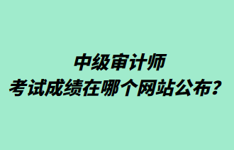 中級審計師考試成績在哪個網(wǎng)站公布？