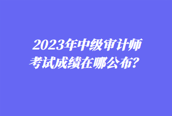 2023年中級審計師考試成績在哪公布？