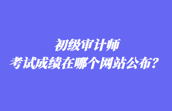 初級審計(jì)師考試成績在哪個網(wǎng)站公布？