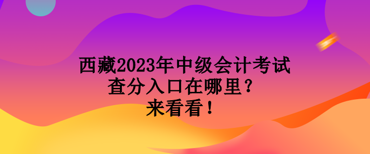 西藏2023年中級會計(jì)考試查分入口在哪里？來看看！