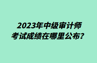 2023年中級審計(jì)師考試成績在哪里公布？