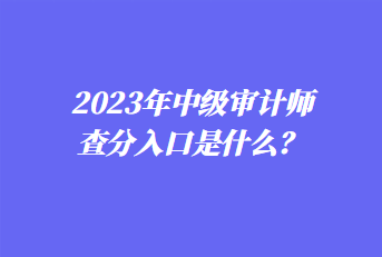 2023年中級(jí)審計(jì)師查分入口是什么？