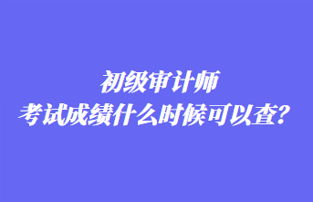 初級審計師考試成績什么時候可以查？