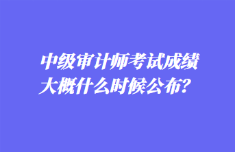 中級審計師考試成績大概什么時候公布？