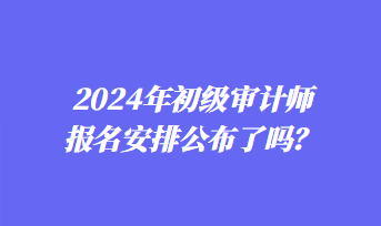 2024年初級審計師報名安排公布了嗎？