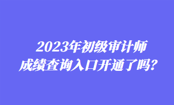 2023年初級(jí)審計(jì)師成績(jī)查詢?nèi)肟陂_通了嗎？