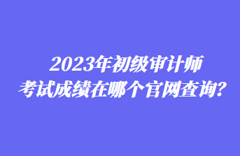 2023年初級(jí)審計(jì)師考試成績(jī)?cè)谀膫€(gè)官網(wǎng)查詢？