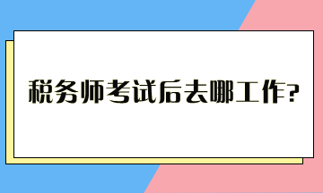 稅務(wù)師考試后去哪工作？