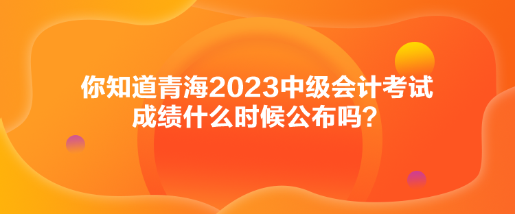 你知道青海2023中級(jí)會(huì)計(jì)考試成績(jī)什么時(shí)候公布嗎？