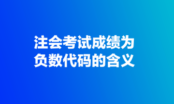 注會考試成績?yōu)樨?fù)數(shù)代碼的含義